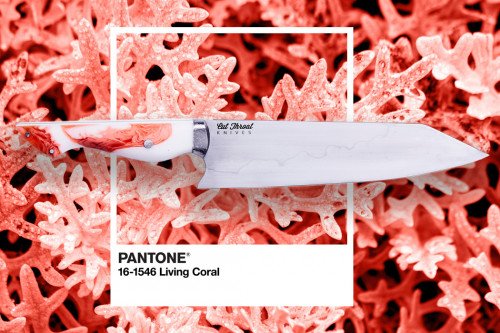 Эта необходимая для кухни ограниченная серия оснащена ручкой PANTONE Living Coral!